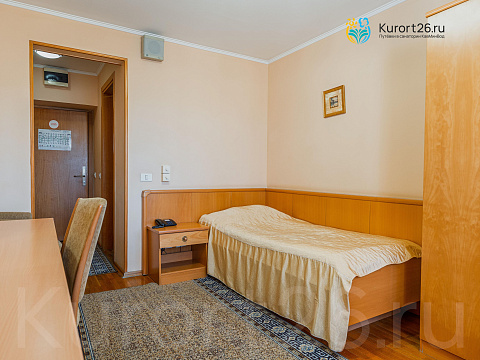 Санаторий «Долина Нарзанов» г. Кисловодск. Номера